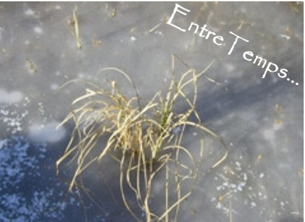 entre_temps.jpg